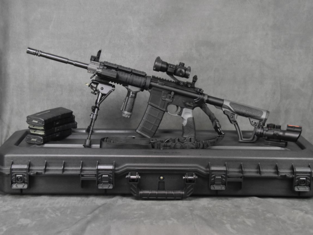 ArmaLite (Flat Top) with Daniel Defense Furniture