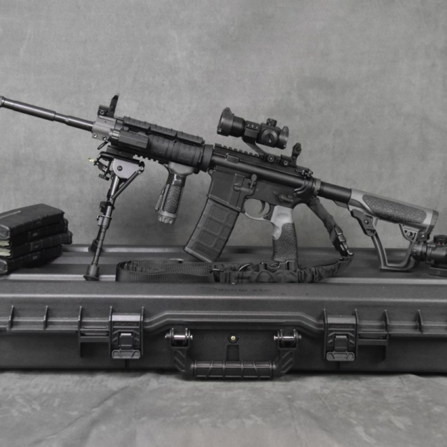 ArmaLite (Flat Top) with Daniel Defense Furniture