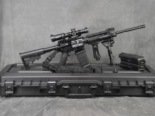 Armalite AR-15 (Flat Top) with Rifle Scope