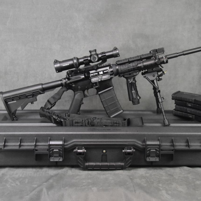 Armalite AR-15 (Flat Top) with Rifle Scope