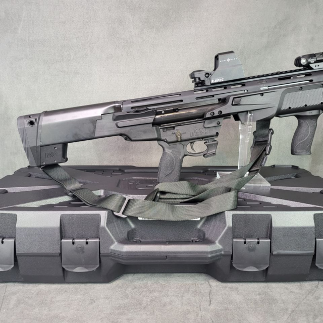 Smith & Wesson M&P12