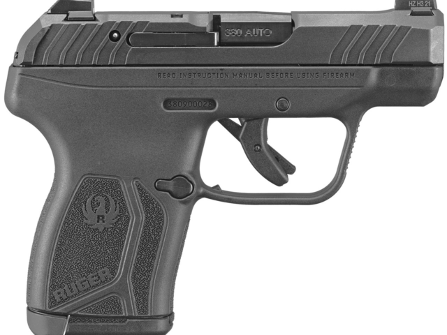 Ruger LCP Max .380